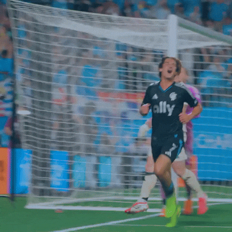 Yell Go Crazy GIF by Charlotte FC
