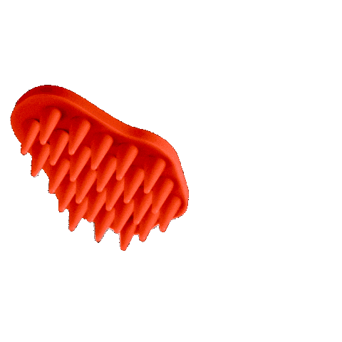 Donnie Cat Brush Sticker by BaileyCatCo