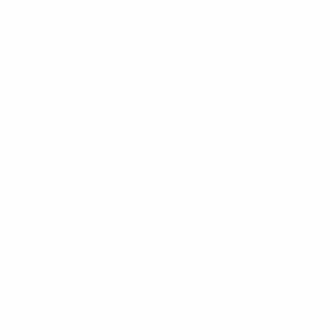 The Socher Team GIF