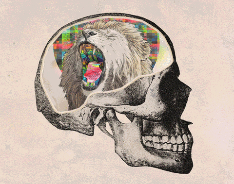 Visual Art Skull GIF - Find & Share on GIPHY