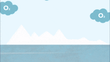 Ocean Head GIF by Comms INC