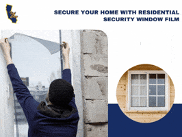 Security Tint For Home Windows GIF
