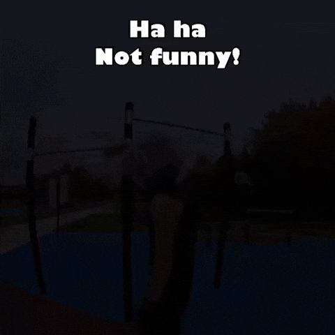 Bunny Cosplay GIF