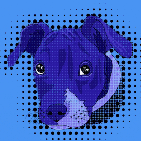 Dog Dogs Pitbull Pitbulls Puppy Puppie Cute Animals GIF