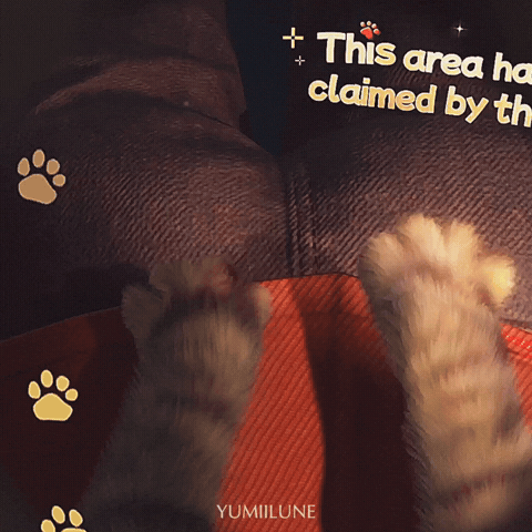 Yumiilune GIF