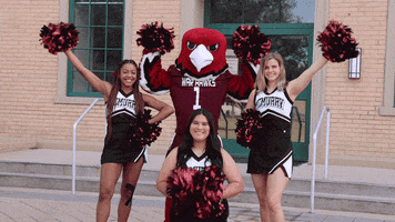 Giving Day School GIF by McMurry University