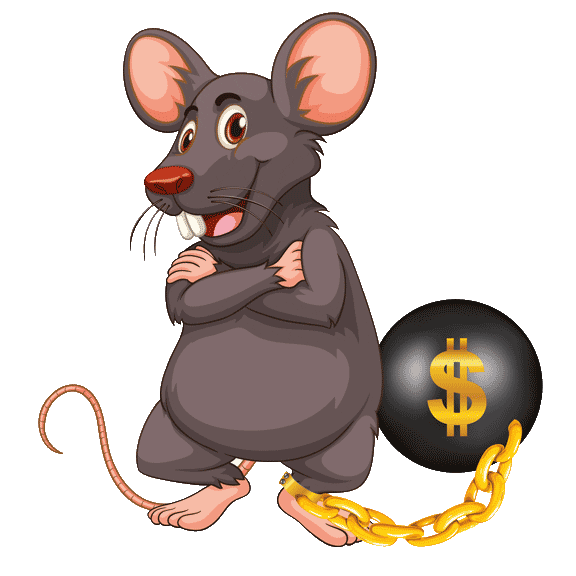 IFFB Institut für Finanzbildung Sticker