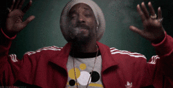 Snoop Dr Dre GIF - Find & Share on GIPHY