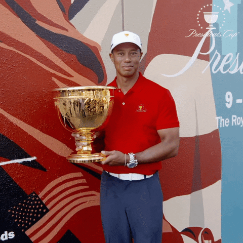 GIF by ThePresidentsCup