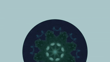 150UP GIF