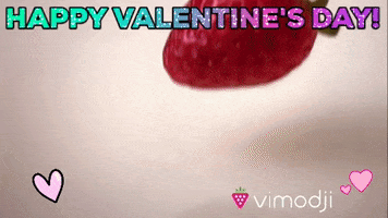Valentines Day Valentine GIF by Vimodji