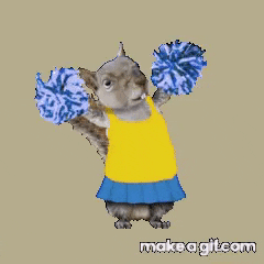 Cheer GIF