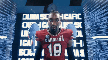 College Football GIF by gamecocksonline