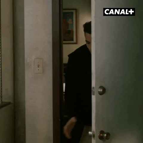 David Rose Omg GIF by CANAL+