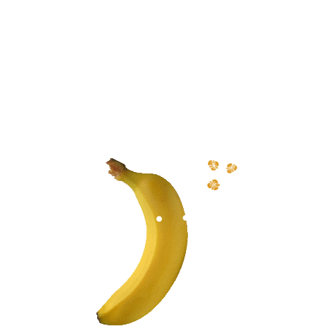 Banana Sakura Sticker by SukkhaCitta