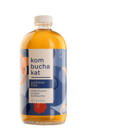 Kombucha Kat Sticker