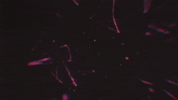 Savages GIF by RØYLS