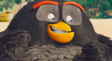 what GIF by Angry Birds Movie