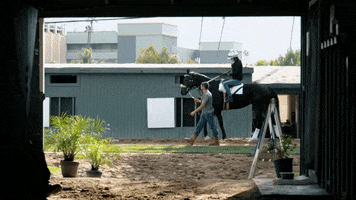 I Am Horse Racing GIF
