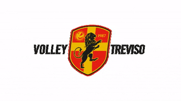 Volleyball GIF by Volley Treviso
