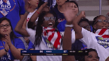 Happy American Flag GIF by WNBA