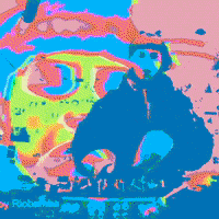 Dj Brooklyn GIF by The Lot Radio