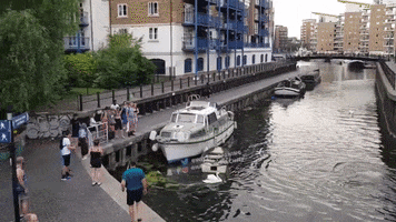 London GIF