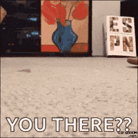 Are You There GIF