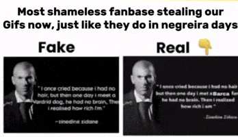 Zinedine Zidane GIF