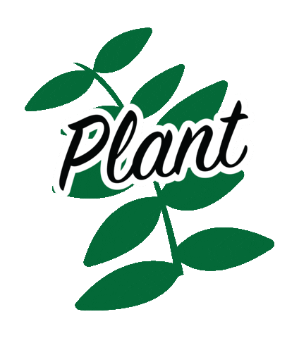 Plants Sticker