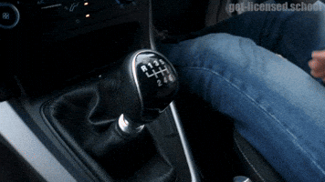 Get Licensed Driving School GIF
