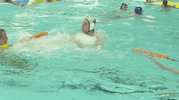 Water Polo GIF by Het Klokhuis