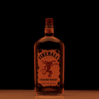 The Dragon Shots GIF by Fireball Whisky