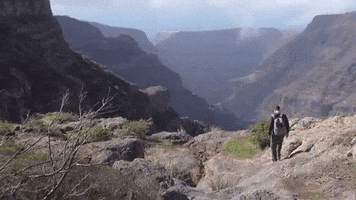 Canary Islands Spain GIF by For 91 Days