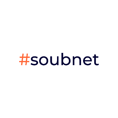 Bnet Telecom Sticker