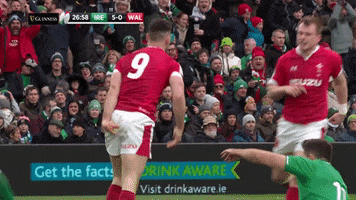 Rugby Union Hug GIF by Guinness Six Nations