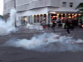 Manif GIF by LoupBlaster