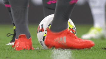 Betmaster GIF