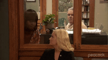Told You So Donna GIF by Parks and Recreation