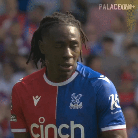 Confused Premier League GIF by Crystal Palace Football Club