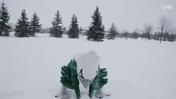 North Dakota Snow GIF by University of North Dakota