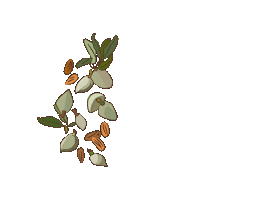 Eat Good Fat Sticker by Lee's Provisions