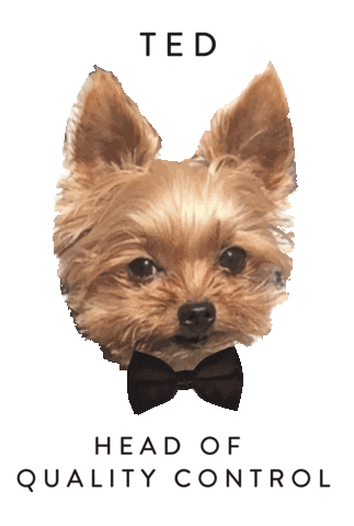 Ted Yorkie Sticker by Sunday Forever