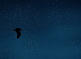 The Fabulous Baron Munchausen GIF