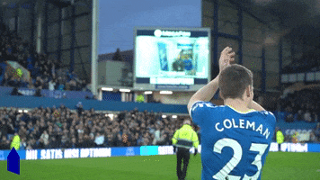 Get In Everton Fc GIF by Everton Football Club