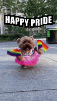 Pride Parade Rainbow GIF