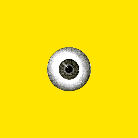 theo eyewear GIF