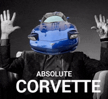 Meow Corvette GIF