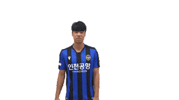 29 Sticker by Incheon United FC