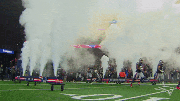Run Out Gillette Stadium GIF by New England Patriots